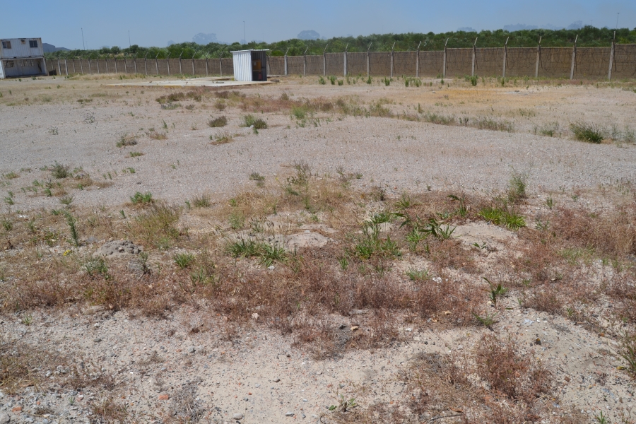 To Let commercial Property for Rent in Parow Industrial Western Cape